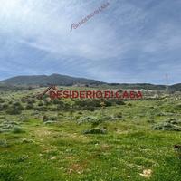 Terreno, Calatafimi Alta - Molara - Villa Tasca, P