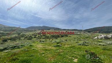 Terreno, Calatafimi Alta - Molara - Villa Tasca, P