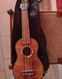 Ukulele Pegasus Guitars & Ukuleles