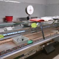 Attrezzature macelleria con cella frigorifera