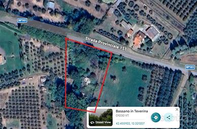 Terreno Bassano in Teverina