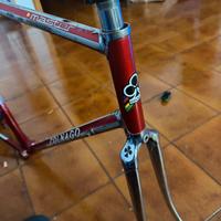 Telaio colnago master