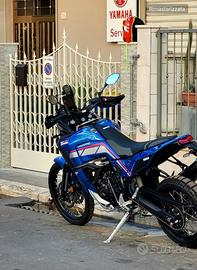 Tenerè World Rally Trophy Blue