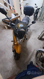 Honda Hornet 2007 - versione oro