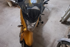 Honda Hornet 2007 - versione oro