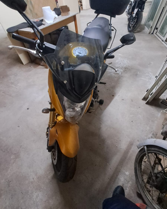 Honda Hornet 2007 - versione oro