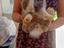 Immagine 3