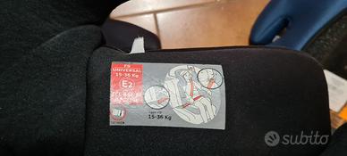 seggiolini  per auto 