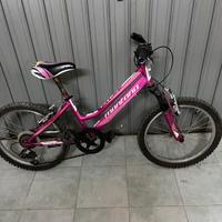 Mtb montana 20