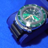 Squale forestale limited
