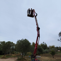 Piattaforma aerea cingolata