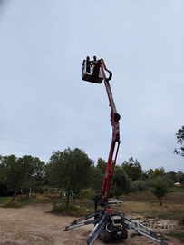 Piattaforma aerea cingolata