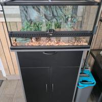 Terrario Exoterra 60x45x30