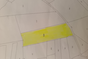 Terreno agricolo / prato