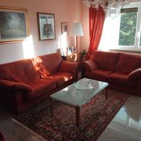 coppia divani in alcantara.