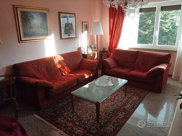 coppia divani in alcantara.