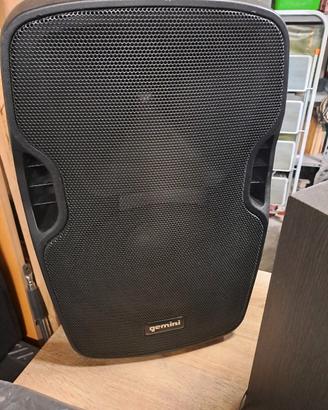 cassa Gemini non amplificata
