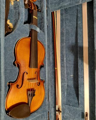 Violino 