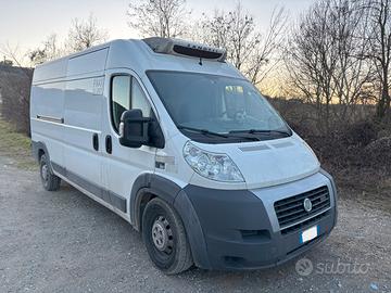 Ducato isotermico gruppo frigo zanotti