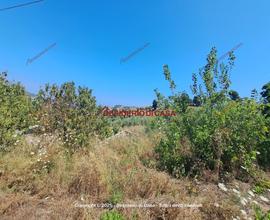 Terreno, Termini Imerese.