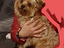 Immagine 4