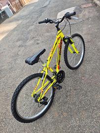 Bici mtb 24"