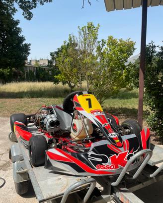 Kart kz 125 rossokorsa kk1