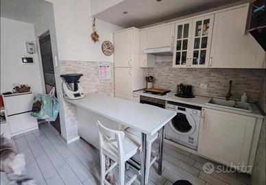 Cucina lineare completa con penisola