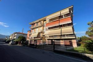 4 LOCALI A PALADINA