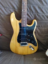 Stratocaster Roytek