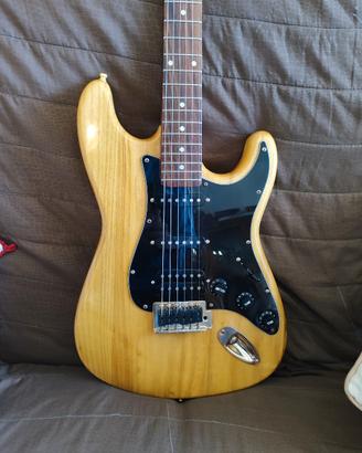 Stratocaster Roytek