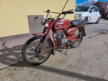 Moto Ciclomotore Testi Gran Prix 50 