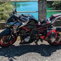 Z900 Anno 2019