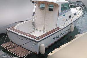 TUCCOLI T 25 MOBY DICK + 2x130hp VOLVO PENTA