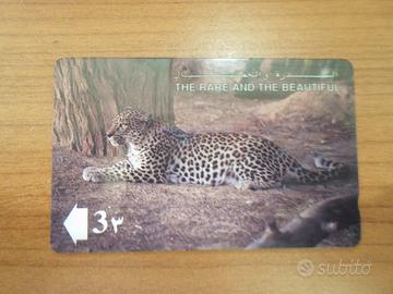 carta telefonica the arabian leopard