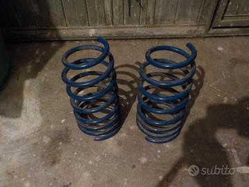 Molle Clio 16V e Williams