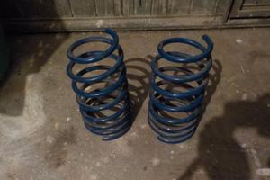 Molle Clio 16V e Williams