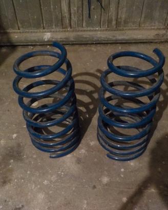 Molle Clio 16V e Williams