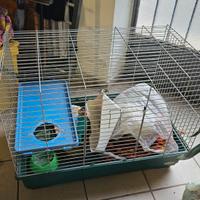 Gabbia furetto - cavia - coniglio