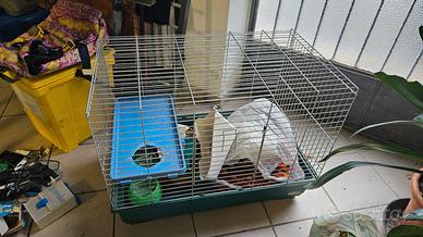 Gabbia furetto - cavia - coniglio