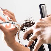 Qualifica parrucchiere