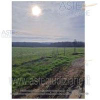 Terreno Agricolo Nepi [A4343316]