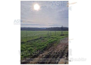 Terreno Agricolo Nepi [A4343316]