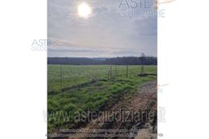 Terreno Agricolo Nepi [A4343316]