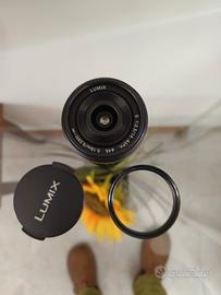 Panasonic 14 mmf 2.5 + fotocamera 