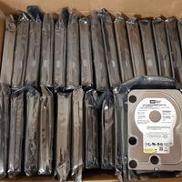 Hard disk Western Digital 500GB, anche stock 26 pz