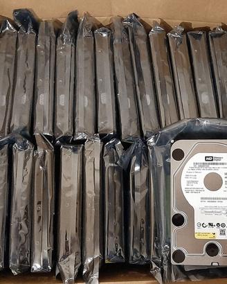 Hard disk Western Digital 500GB, anche stock 26 pz