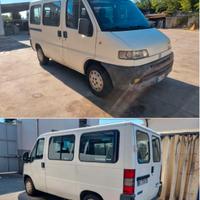 Fiat Ducato Panorama 9 Posti
