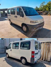 Fiat Ducato Panorama 9 Posti