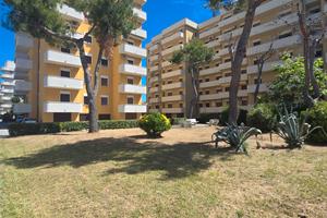 Appartamento sul mare di San Salvo dal 5 settembre